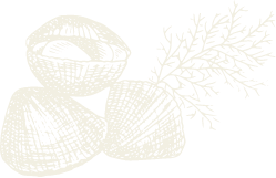 clams icon clams icon