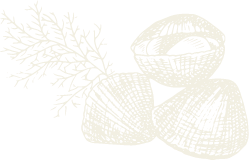clams icon clams icon