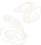 oysters icon oysters icon