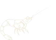 shrimp icon shrimp icon
