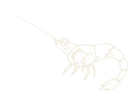 shrimp icon shrimp icon