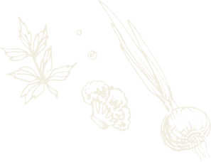 vegetable icons vegetable icons