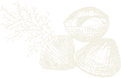 clams icon