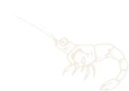 shrimp icon